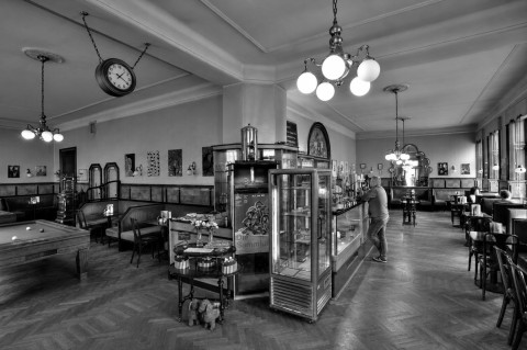 Galeriebild 1